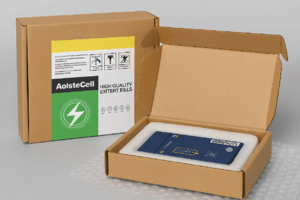 triple-protection packaging for safe shipping